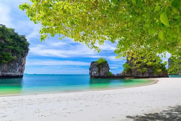 黄色玫瑰花4k电脑桌面壁纸全屏图片(4200x2782) - 4k风景高清壁纸