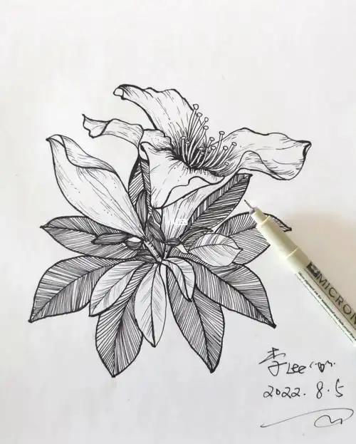 全职妈妈画画花卉线描day6