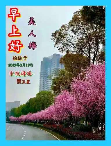 100张早上好问候图片分享(6) - 美篇