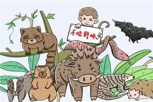 一,为什么要拒绝食用野生动物?