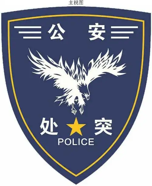 本外观设计的名称:臂章.