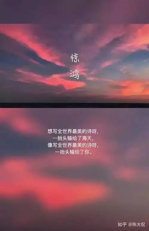 文案丨收藏的网易云音乐热评