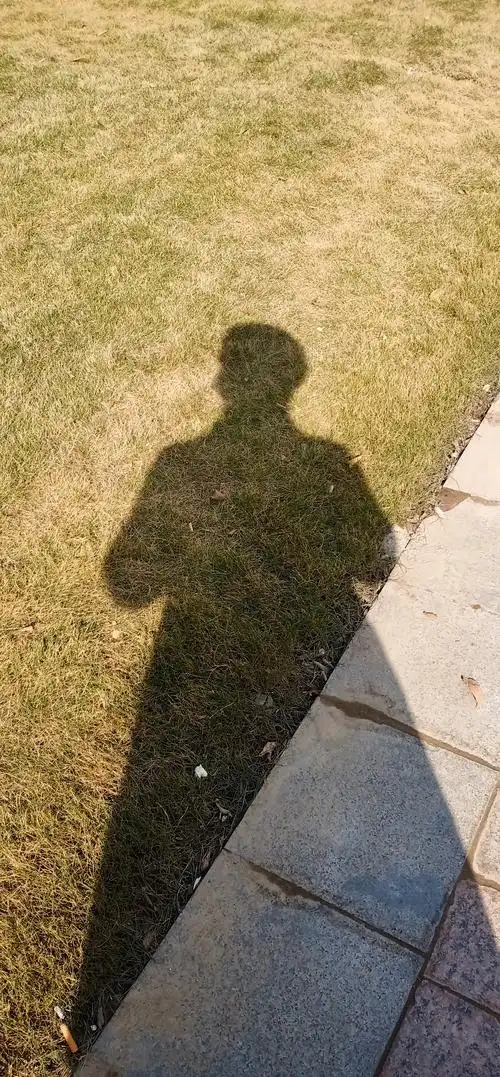 每当有灯光照着我和自己影子时候我骄傲抬头挺胸.             也