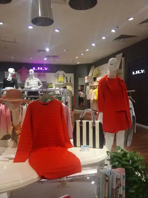 驿城区标签: 女装 购物 服装店  lily.
