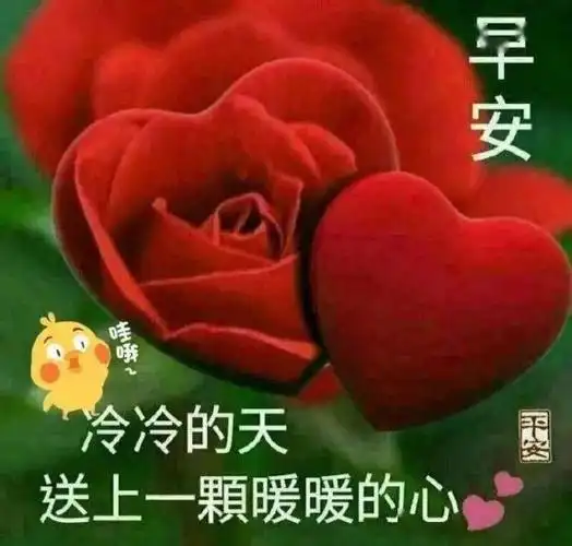 温馨的降温了早上好表情包降温了注意保暖问候语温暖朋友的心