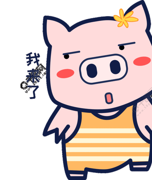 笨笨猪日常动态表情包
