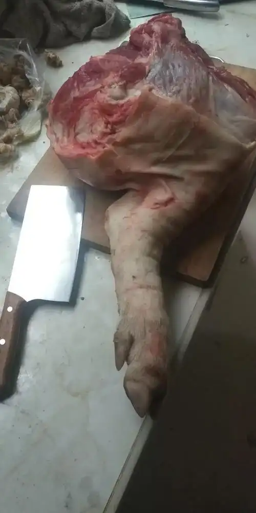 中秋节快到了猪肉便宜了买了个猪后腿解解馋