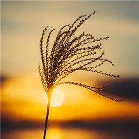 怀旧复古高清头像 好看的怀旧复古图片头像唯美