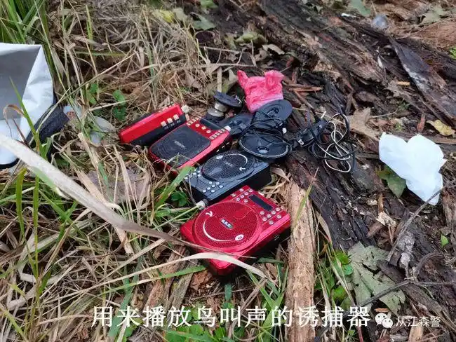 从江一男子非法猎捕野生鸟类结果自已被抓附抓捕视频