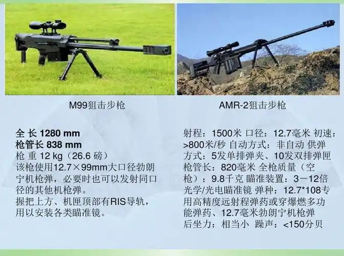 中国军事武器介绍ppt_word文档在线阅读与下载_无忧文档