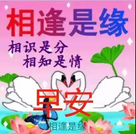 漂亮的鲜花早上好表情包新的一天相逢是缘事事如意平安