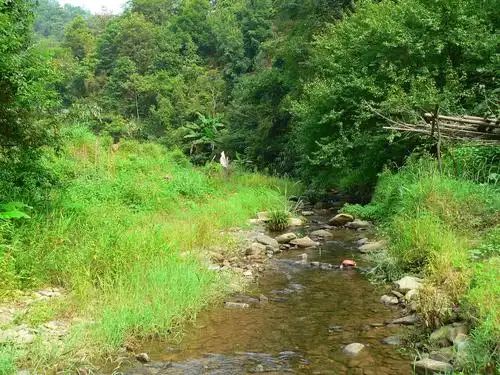 其它 故乡的小河 写美篇  家乡的小河,桂江下游一支流的源头,自崇山