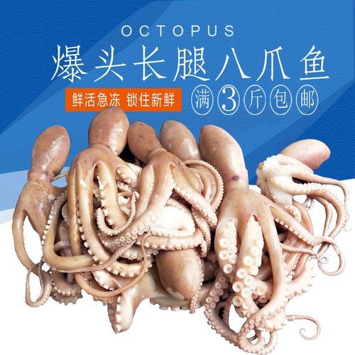 连云港长腿八爪鱼鲜活海鲜水产 爆头大长腿章鱼新鲜八鮹鱼半斤
