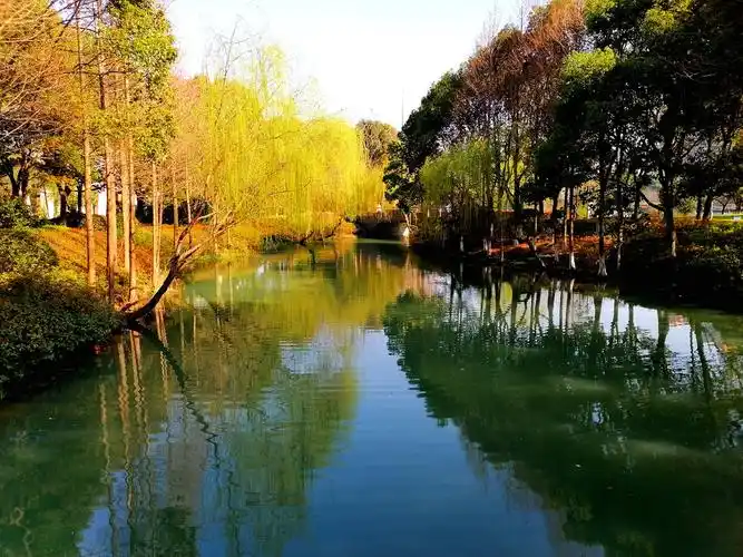 小河初春风景迷人