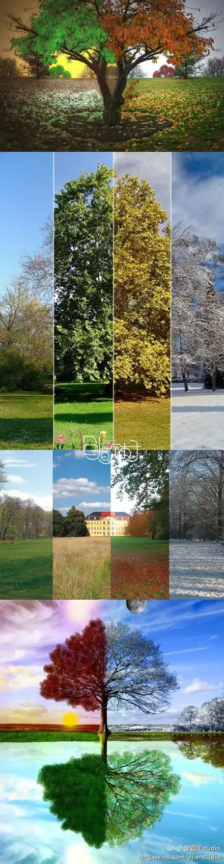 美图,风景,治愈系,小清新,唯美,艺术 ---【摄影】一幅作品领略大自然