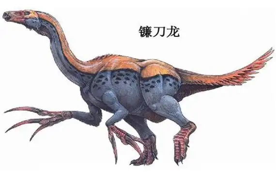 镰刀龙:行动缓慢的大型恐龙(一种罕见的肉食动物)