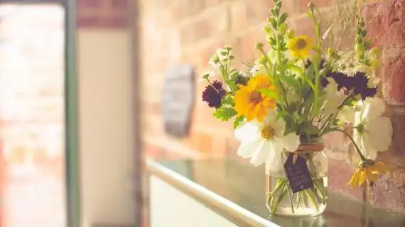 治愈系唯美图片