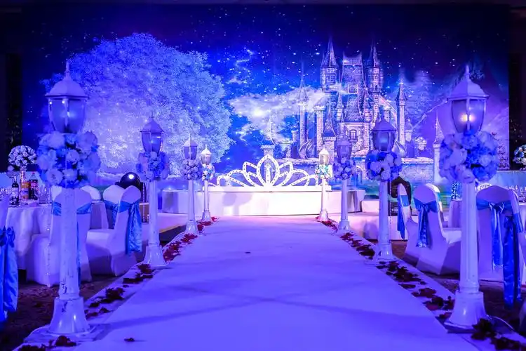 冰雪浅蓝色婚礼案例