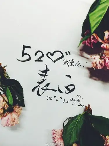 520##520全民示爱##520花式表白# 【520一句话的表白——"余生请闹父