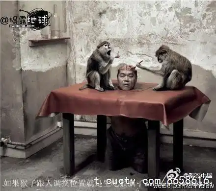 【恐怖的"生吃猴脑"!】吃猴脑的桌子中间.-视友网视友空间