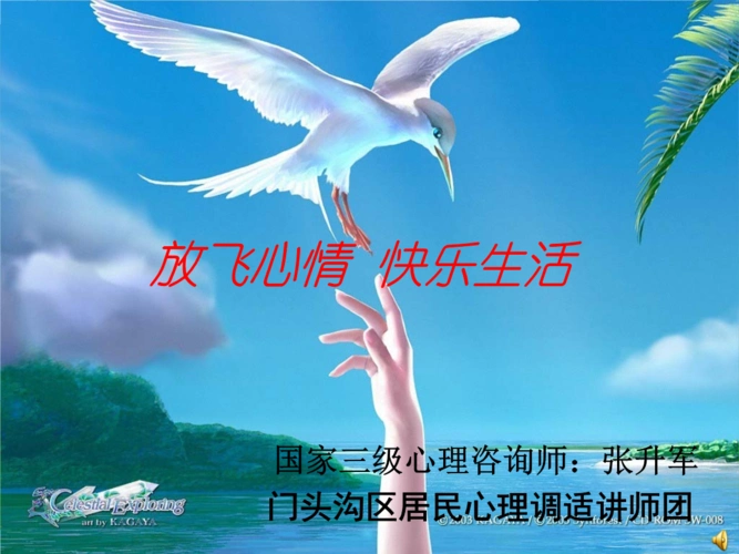 放飞心情快乐生活.ppt