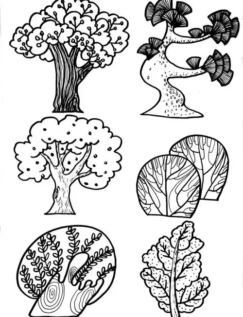 🌳线描画:探索大树的奥秘🌳