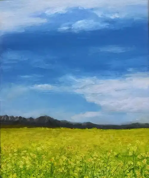 《家乡的油菜花》油画   50×40cm