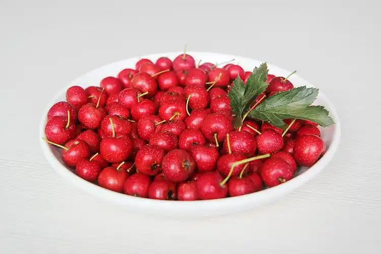 甜红子(新鲜小红星甜山楂拍摄)