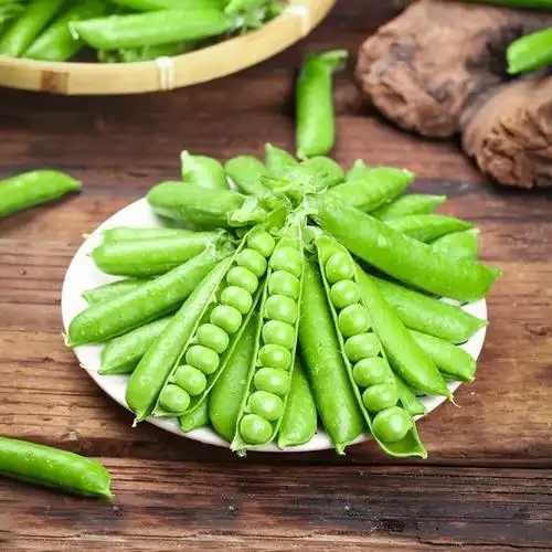 新鲜现摘豌豆荚云南农家当应季蔬菜豌豆角带壳青甜豆9斤弯豆包邮