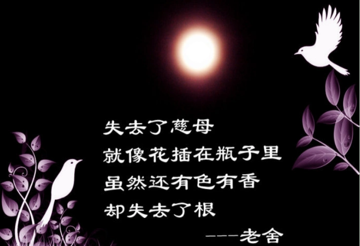 怀念母亲祭奠母亲百日