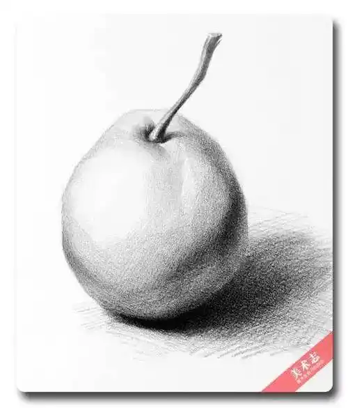 老师,素描静物怎么画?先把单个静物练习一遍!