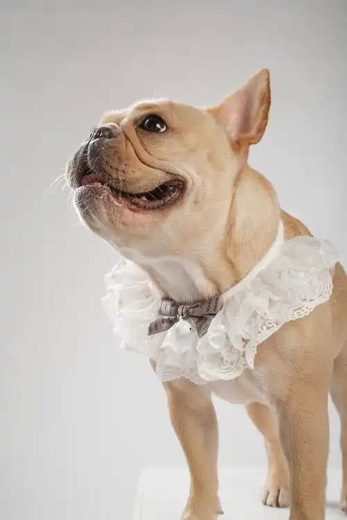 1280_1920竖版 竖屏