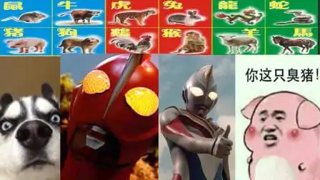 十二生肖对应的奥特曼:哉阿斯是属狗的奥特曼!戴拿是属猪的!