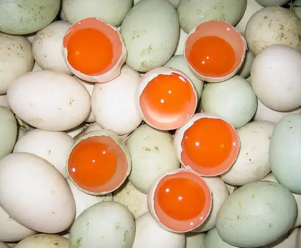 鸡蛋,鸭蛋,鹅蛋之间的区别