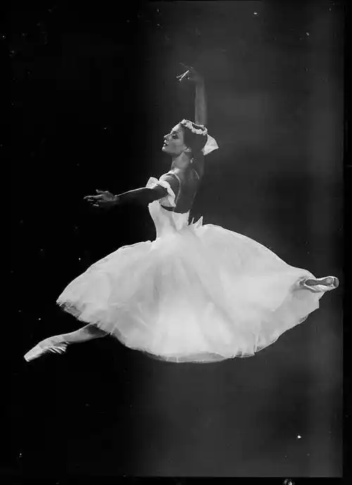 最懂舞蹈中那些惊心动魄的唯美瞬间!