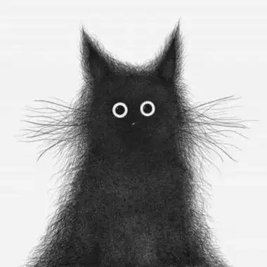 简约黑白黑猫头像女生头像女生