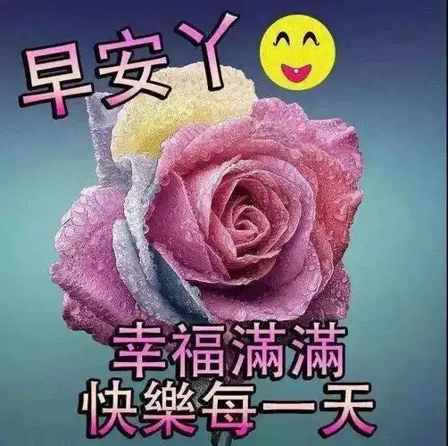 2021年精美的早安表情祝福图片,最漂亮的早安图片带字版 - 知乎
