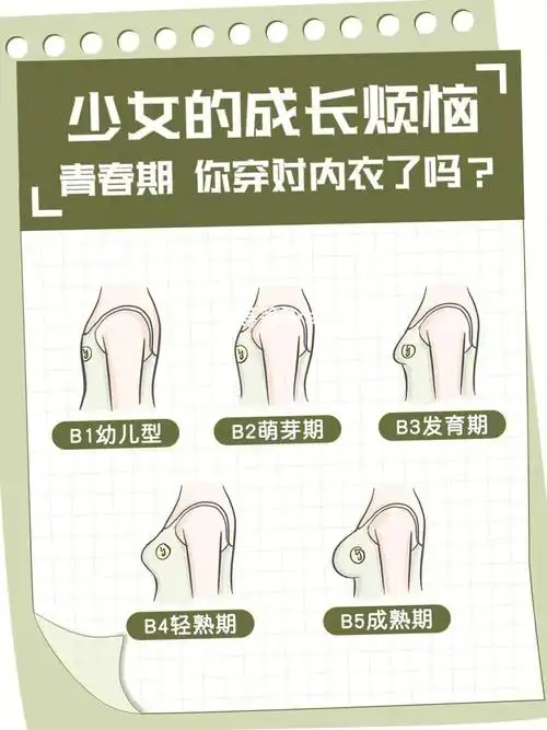 乳房萌芽期阶段:9—10岁,选择棉质小背心即可,不要束缚胸部发育266