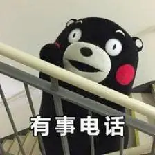 有事电话 熊本熊 表情包 by万能小仙女i