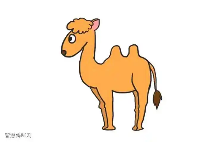 画骆驼头发简笔画作品完成图