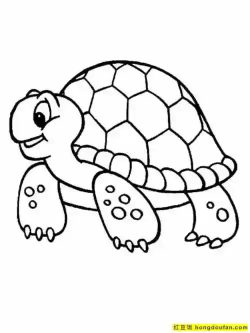 下载,专注力,乌龟,乌龟简笔画,免费,免费下载,动物园,动画片,卡通