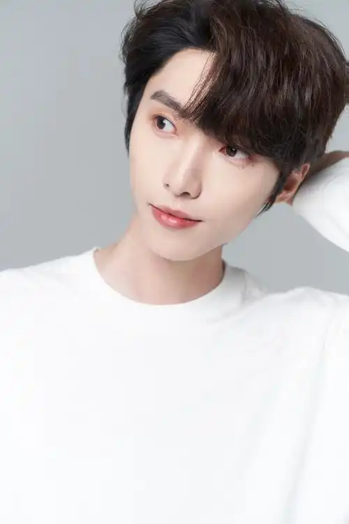 赵磊清爽版人生四格