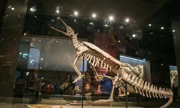 钦迪龙会捕鱼的肉食恐龙主要生活在三叠纪时期