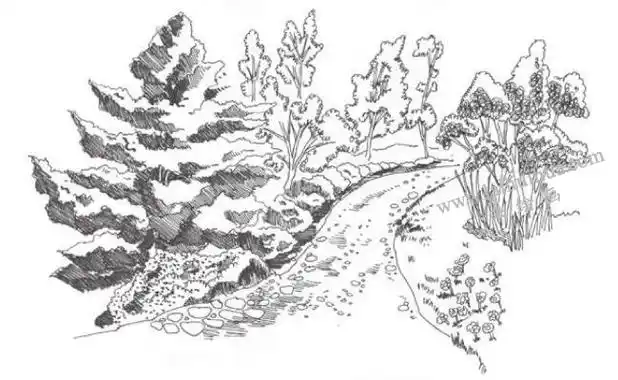 泥土路和木板路速写画法