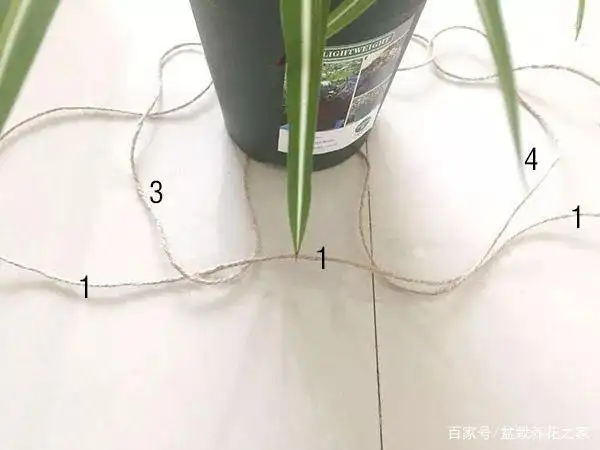想将花盆吊起来?不打孔,一根绳子就能解决!