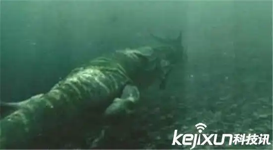 06年真龙吃人的照片