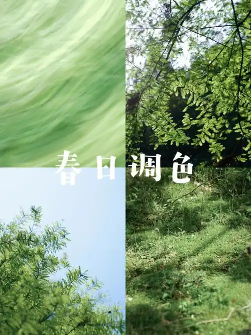 超简单春天调色教程森系春天