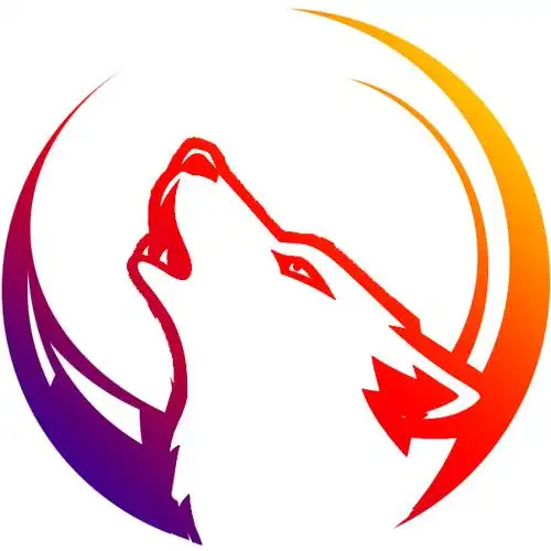 深圳市霸狼电子科技有限公司