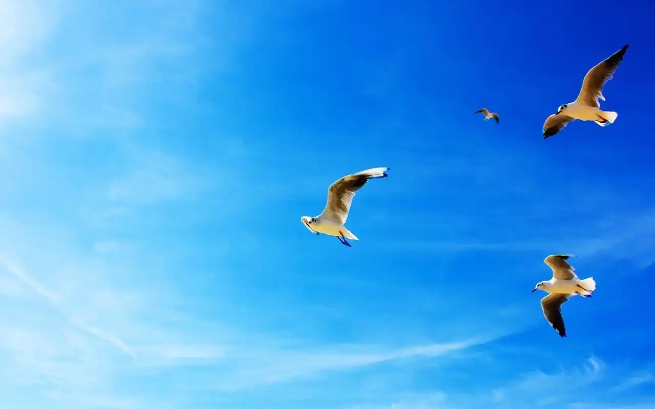 唯美蓝色天空风景图片桌面壁纸