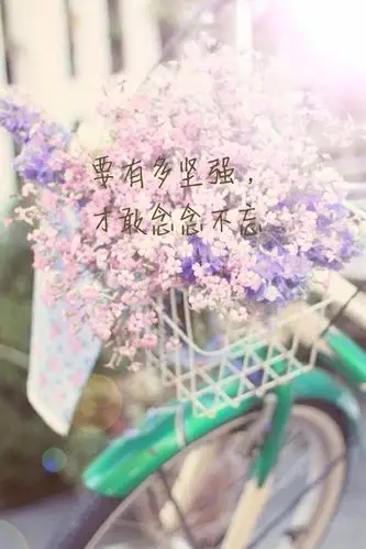 小清新文字背景手机锁屏壁纸文字向日葵清新背景锁屏壁纸